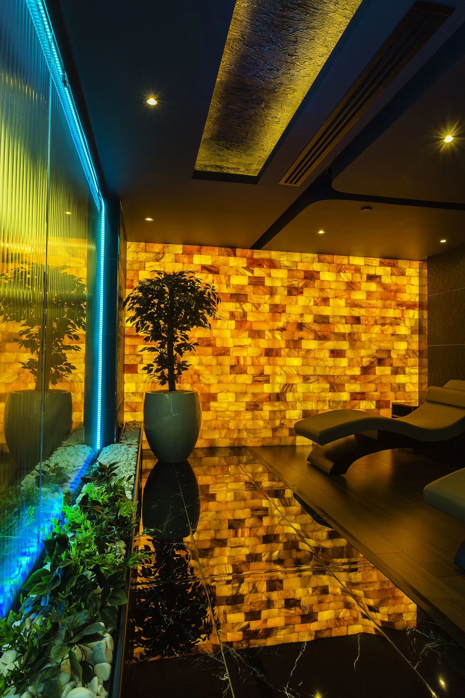 Spa & Wellness Zone