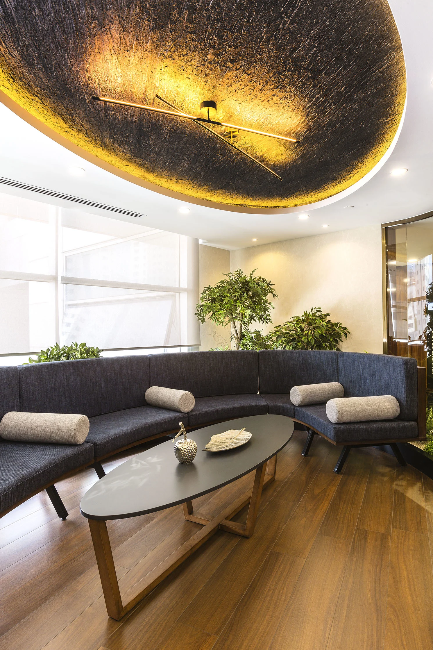 Comfort Lounges